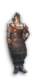 warriorhero Tier 5 Example